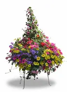 Denver Venezia 80 cm zonder bak